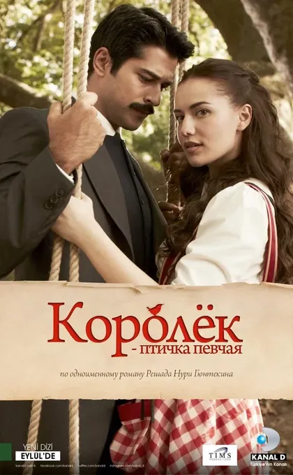 Эбру Хелваджиоглу
